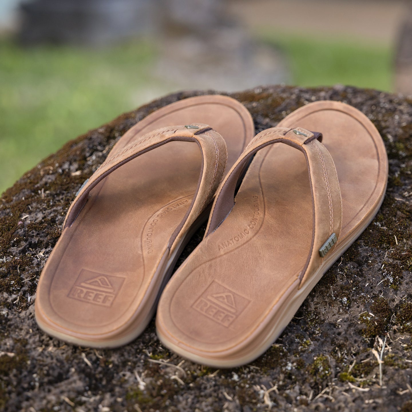 Reef Leather Offshore view 3 - Bronze/Brown