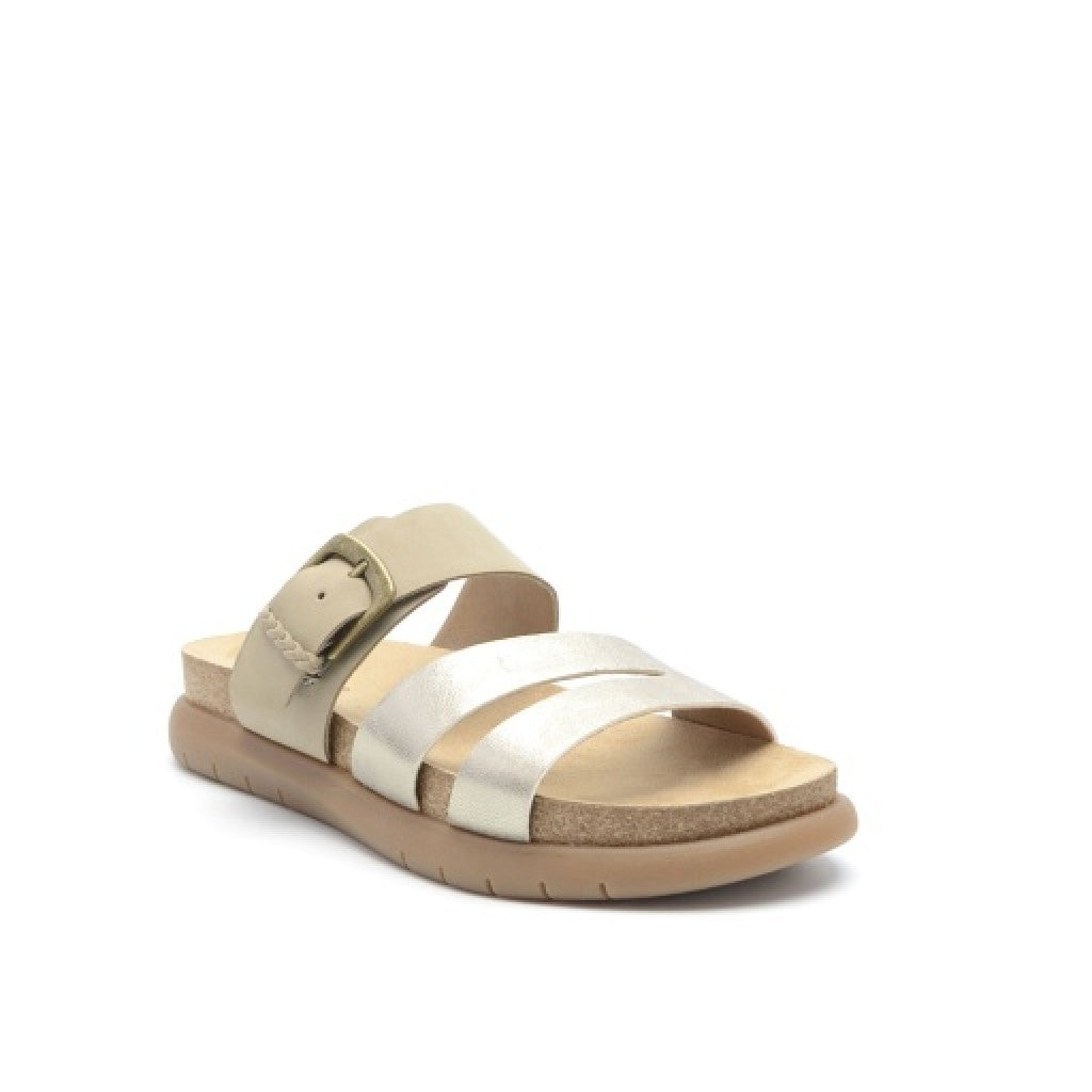Earth Ayden Strappy Slip-on Sandal Cushioned Arch Support Women's Casual Sandal - Taupe - 7