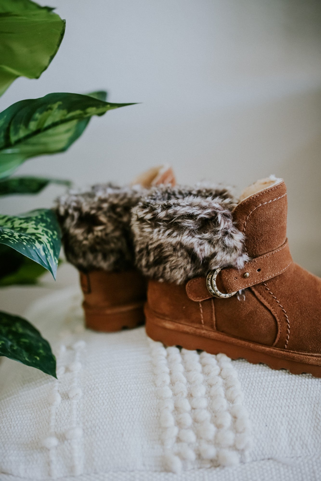 Bearpaw Koko Women's 5 inch Boot - 2012W - Lifestyle