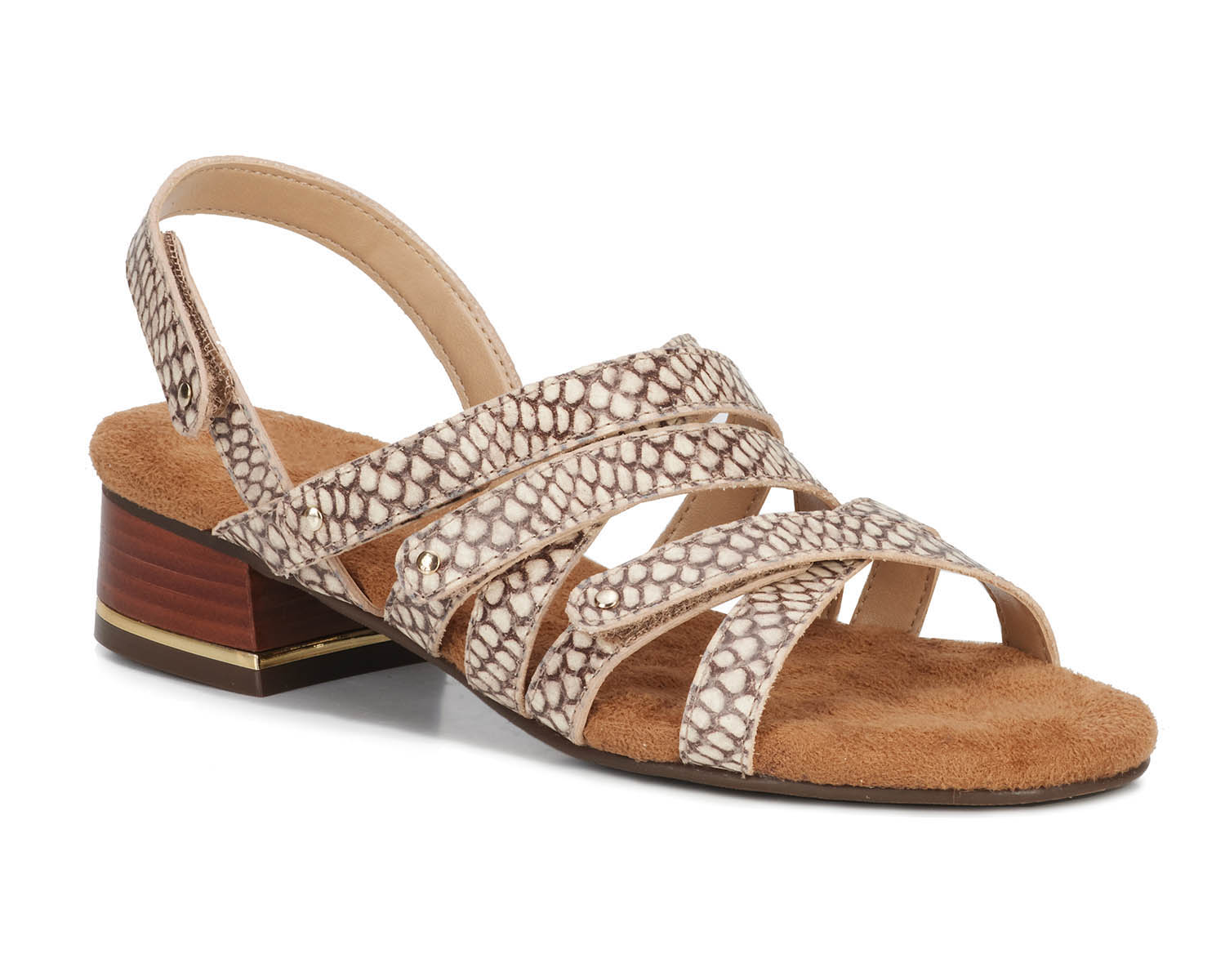 Ros Hommerson Breeze Women's Comfort Sandal - Roccia Snake Print Leather - Main View