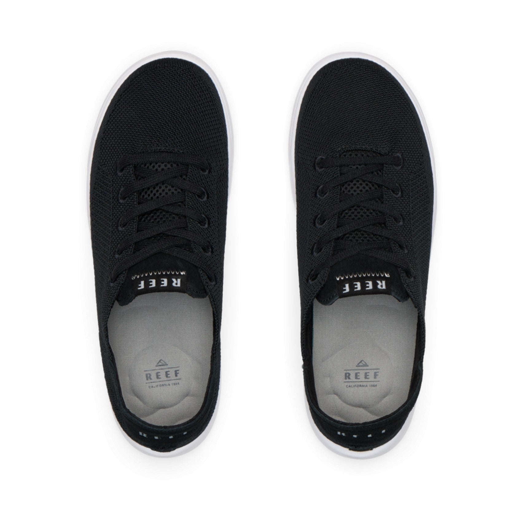 Reef Swellsole Neptune - Black - Top View