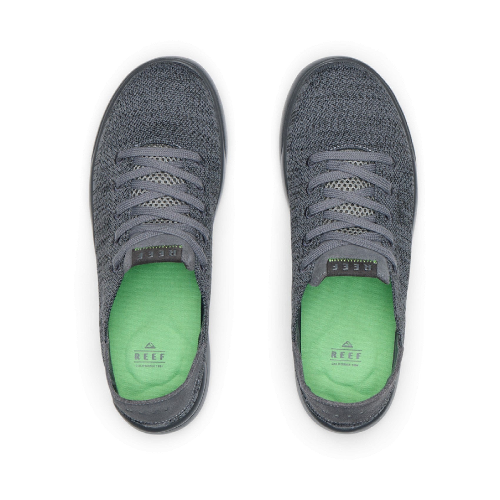 Reef Swellsole Neptune - Raven - Top View