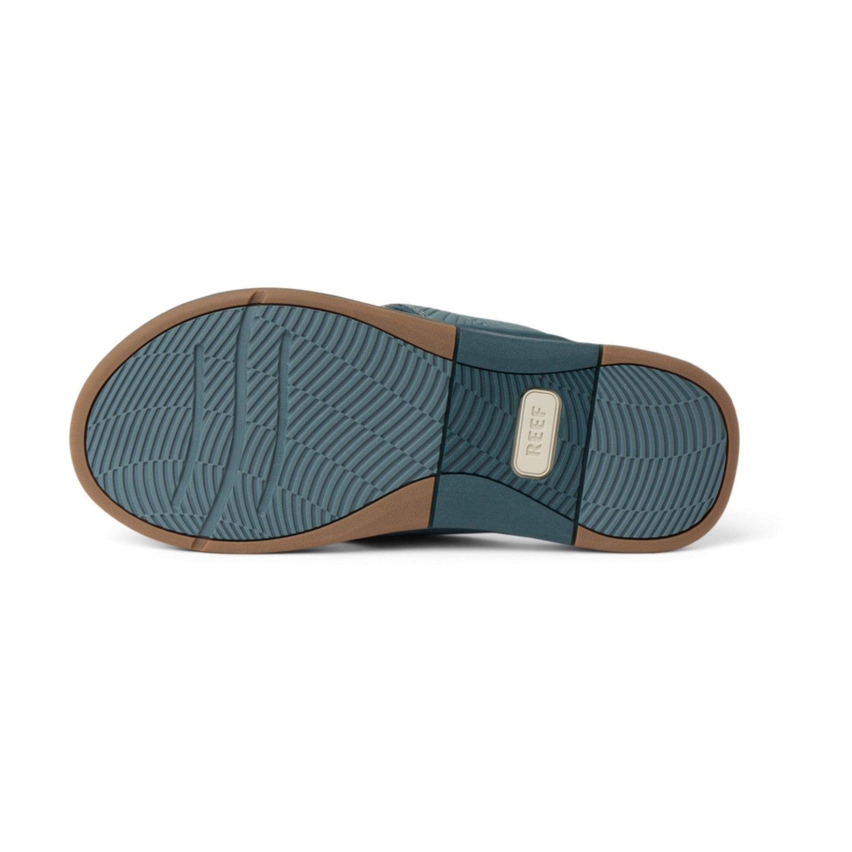 Reef Offshore -  - Underside View - Seamoss