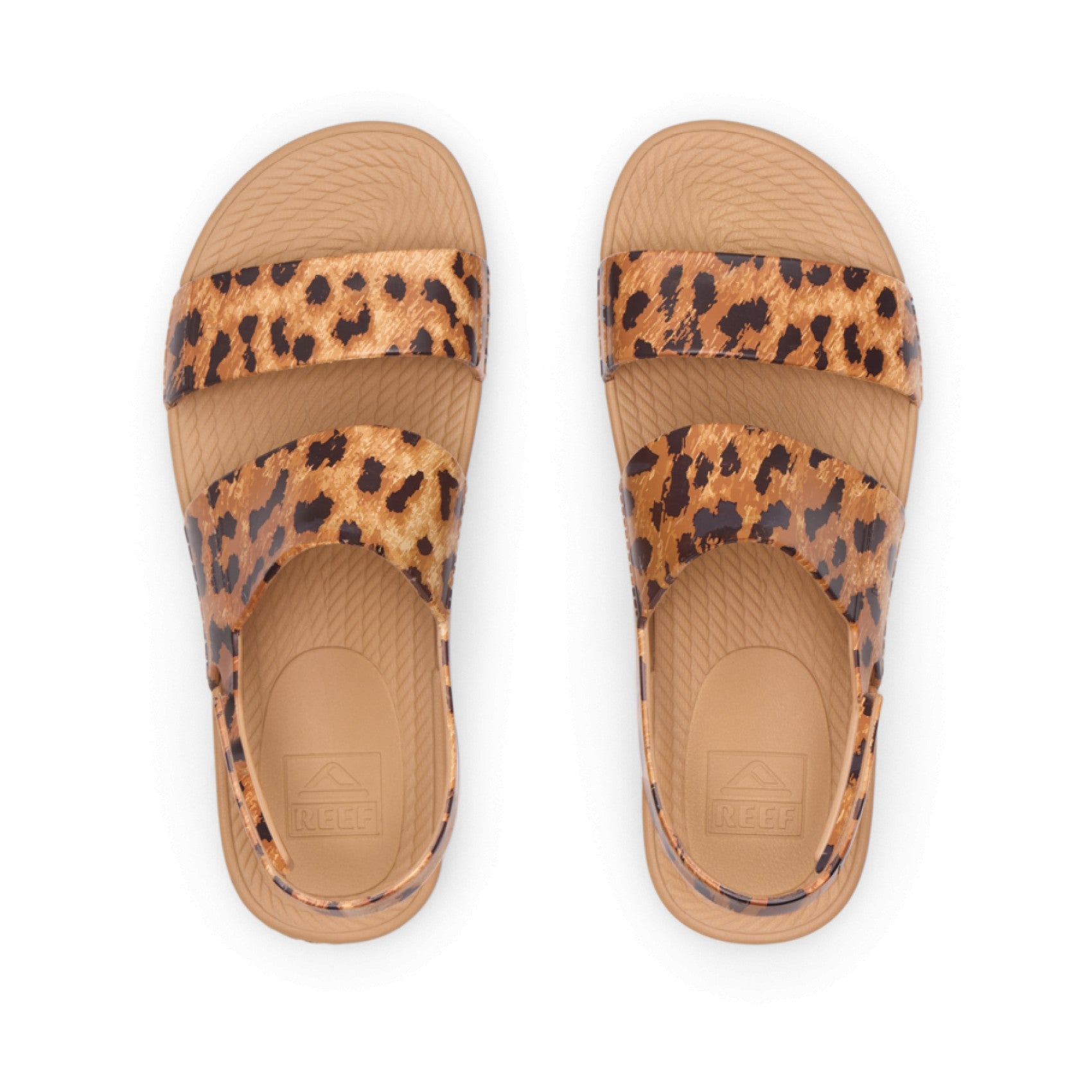 Reef Water Vista -  - Top View - Leopard