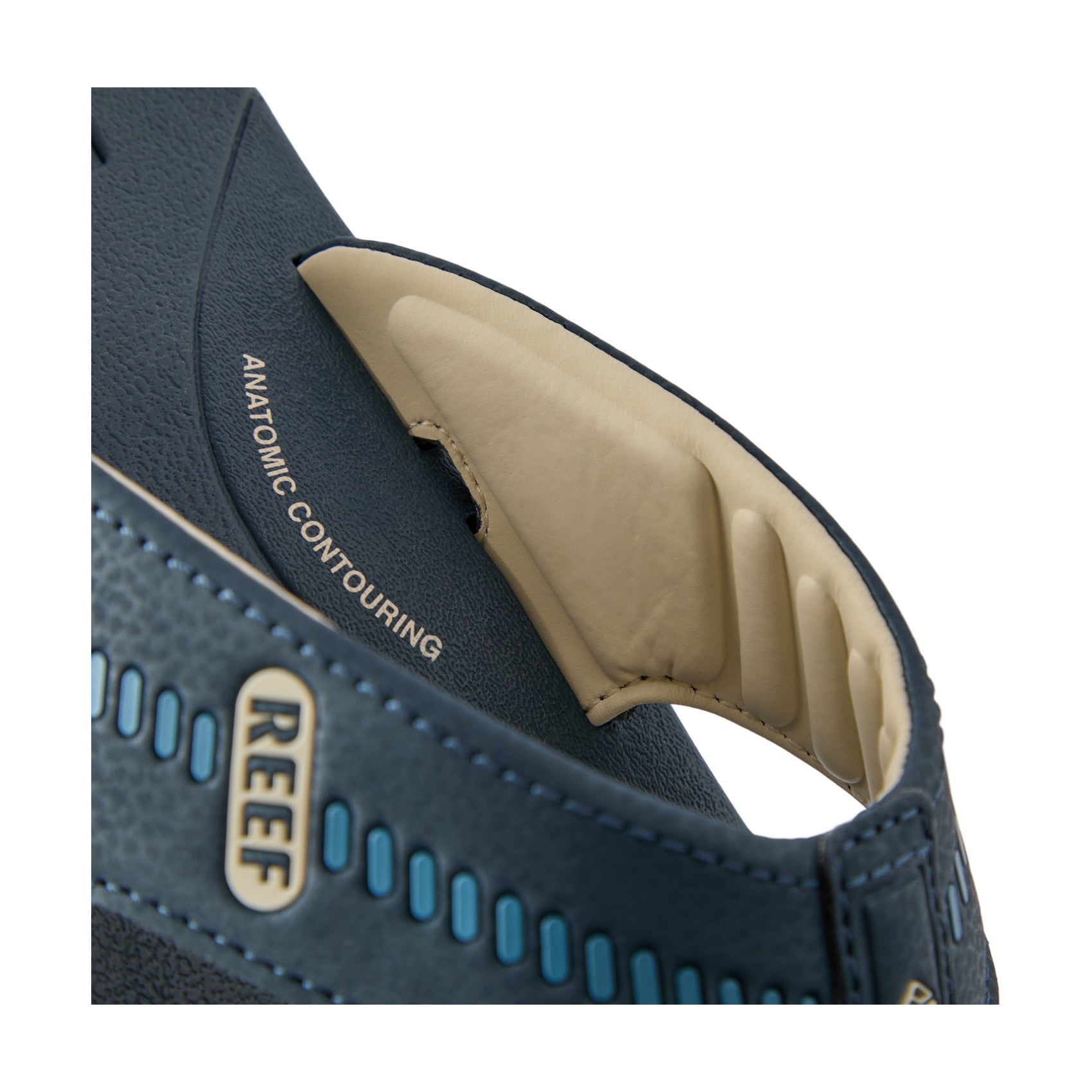 Reef Cruiser view 4 - Midnight Navy