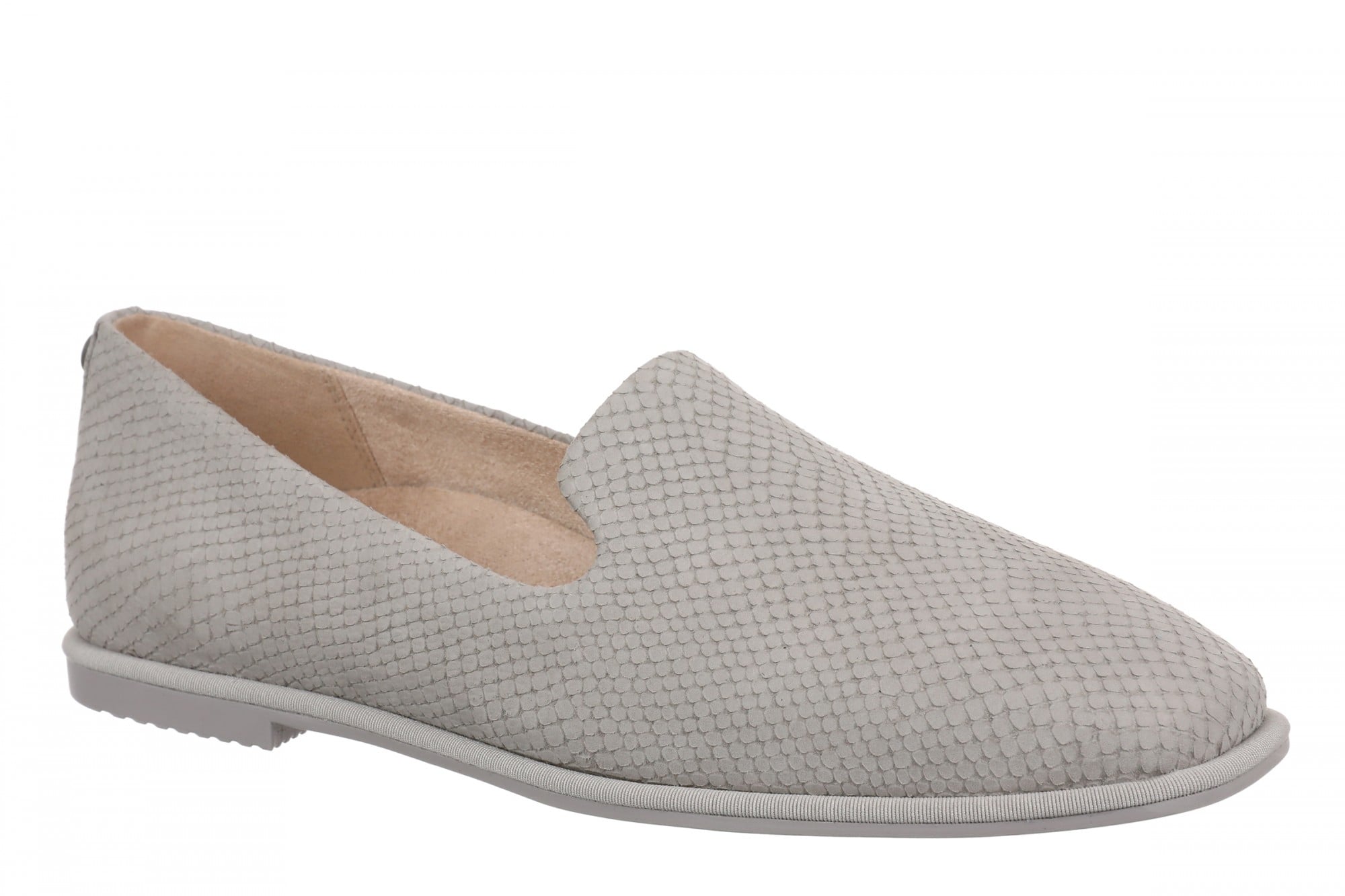 Paloma Grey