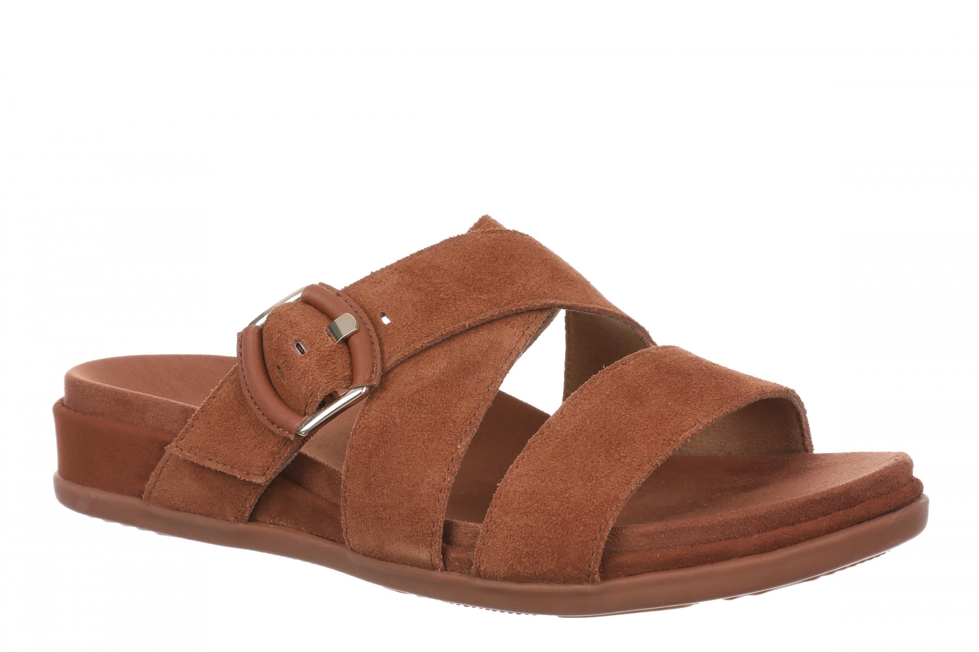 Equestrian Tan