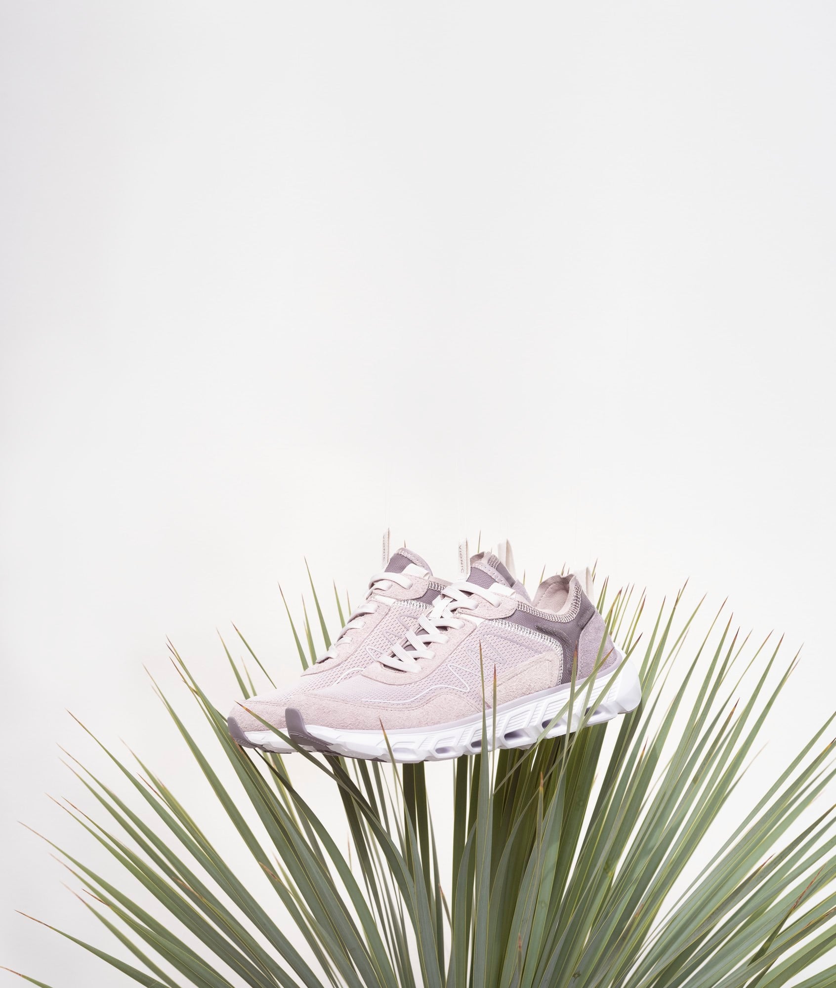 Mist Mesh Sde