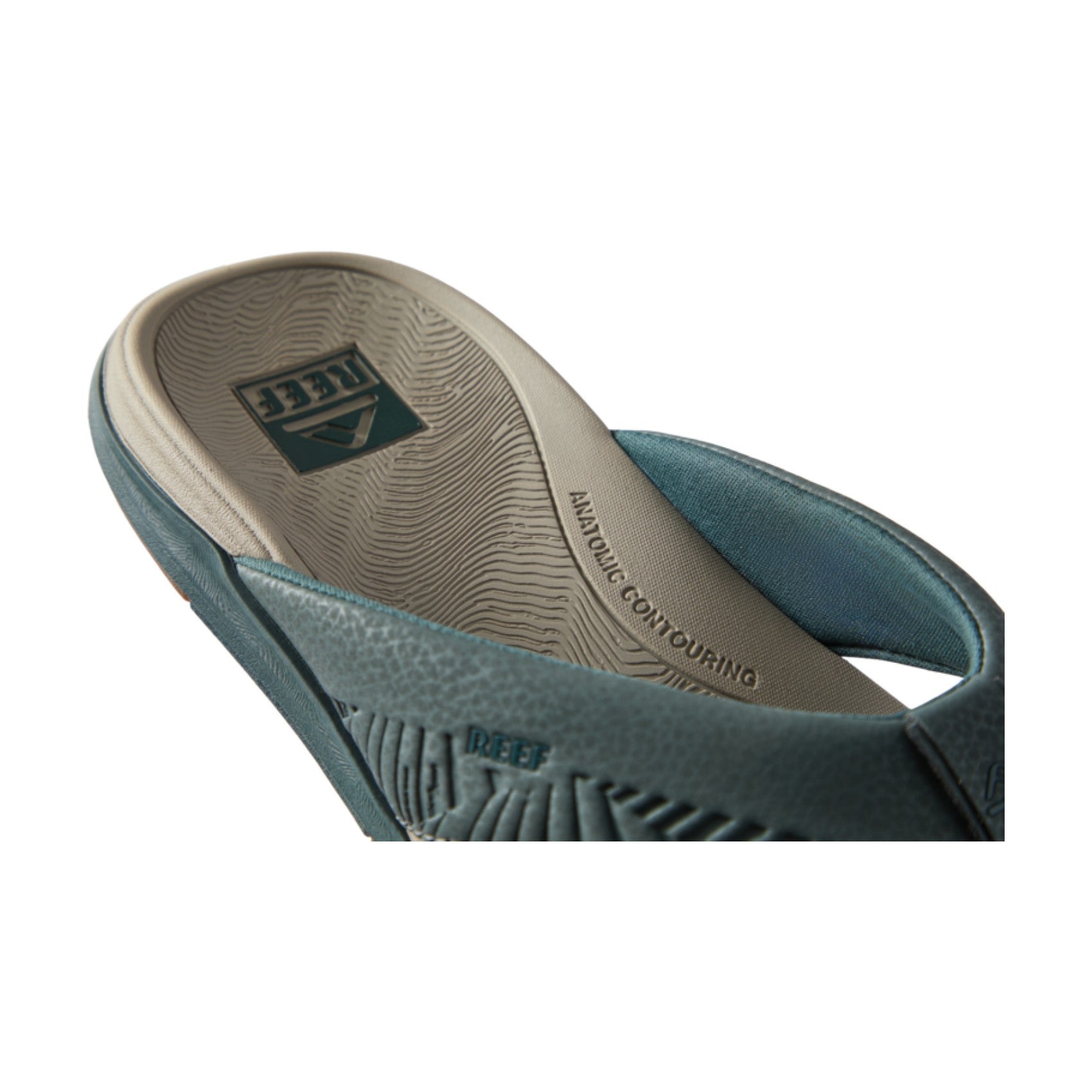 Reef Offshore view 4 - Seamoss