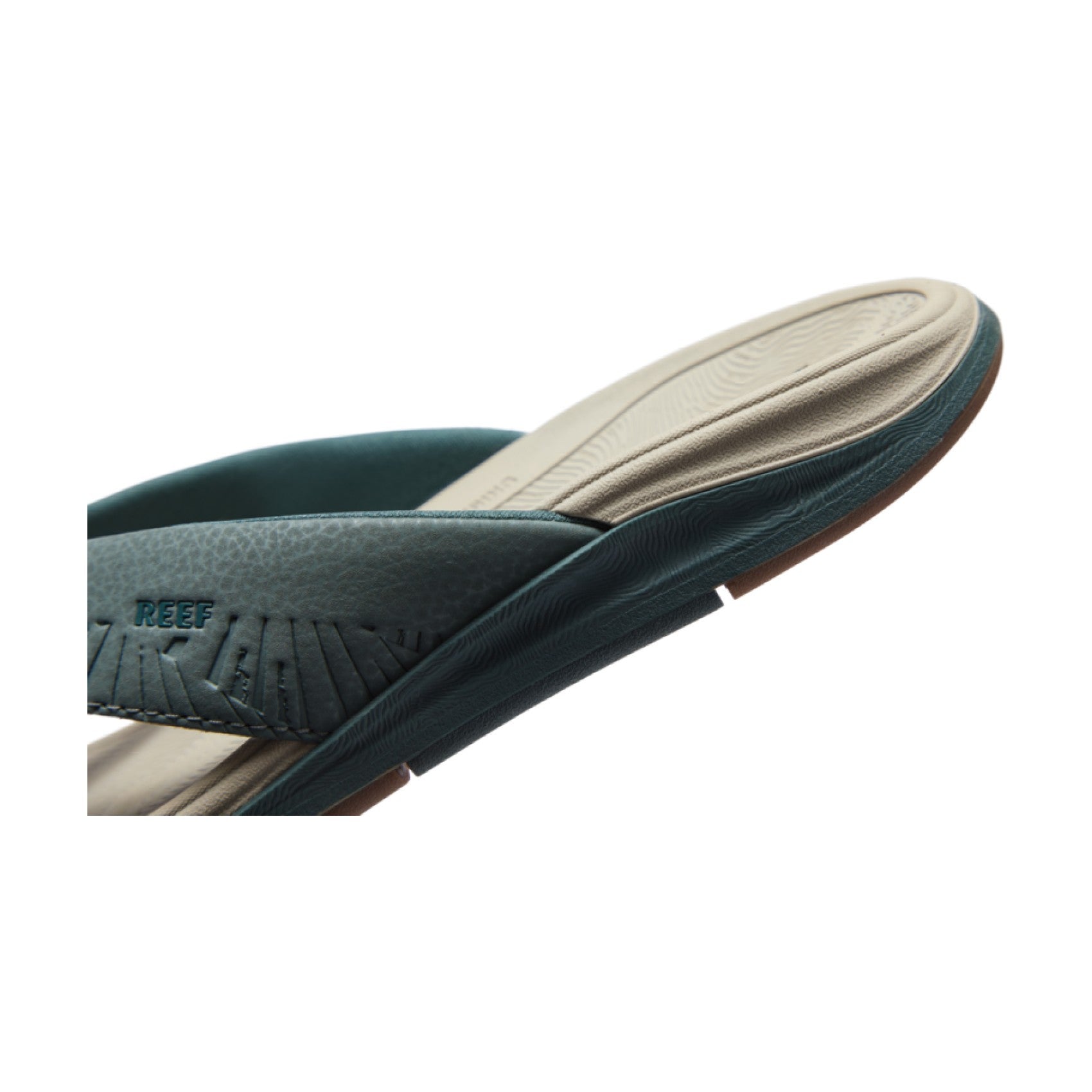 Reef Offshore view 7 - Seamoss