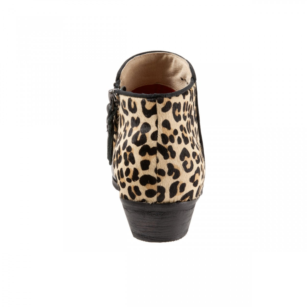 Softwalk Rocklin - Women's Low Cut Boots - Blk/leopard - back