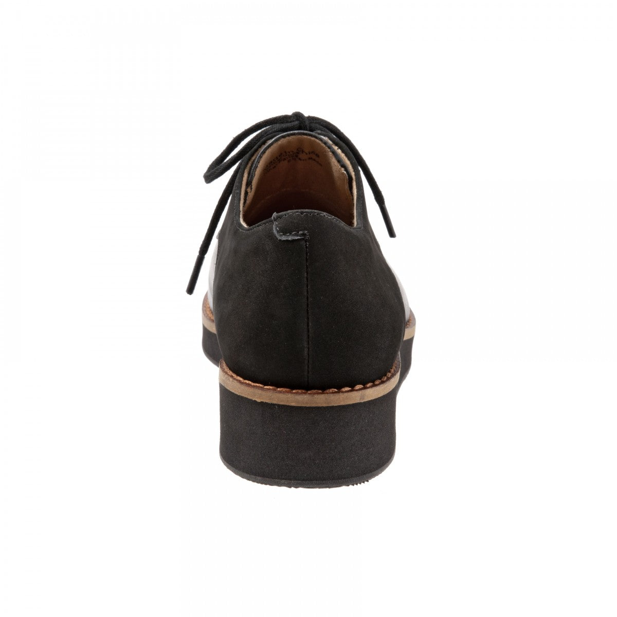 Softwalk Willis - Black - back