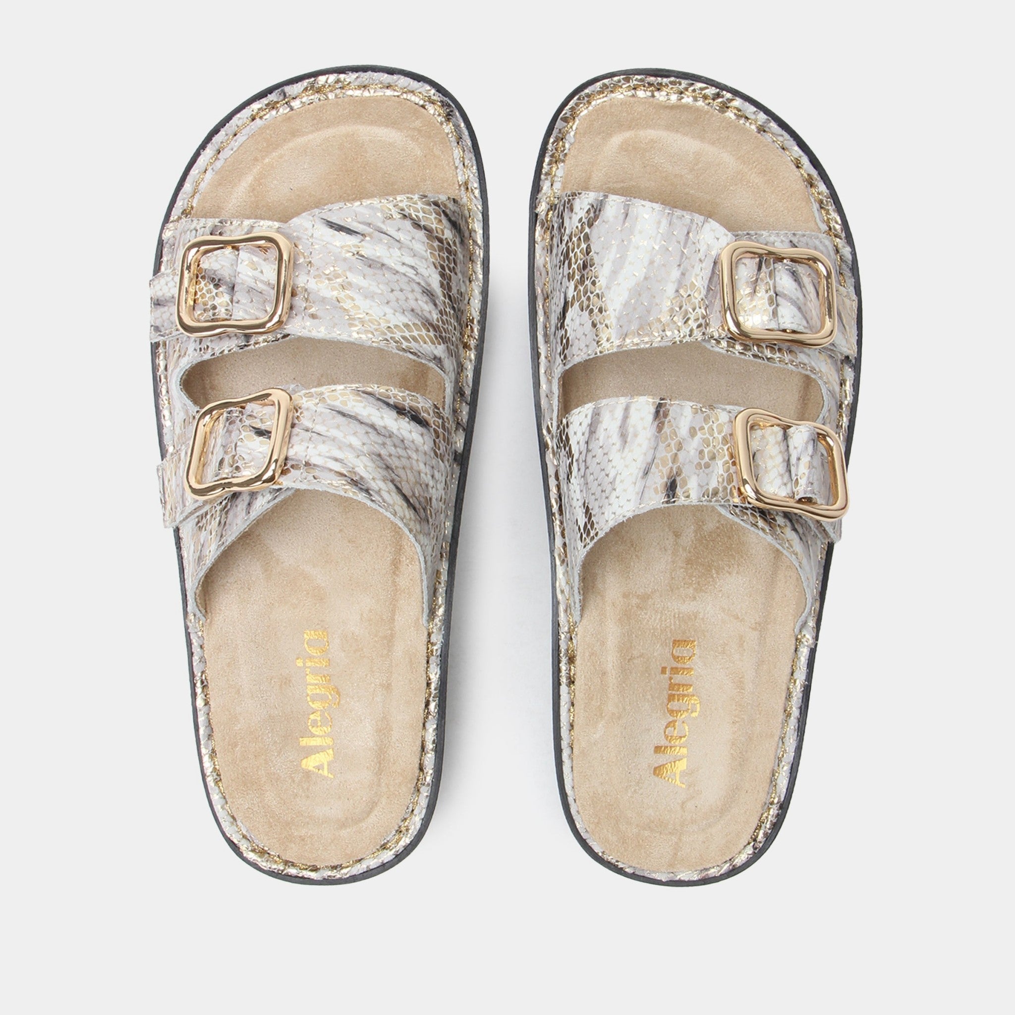 Alegria Verah Mini Comfort Arch Support Women's Sandal - Hoity Toity - 5
