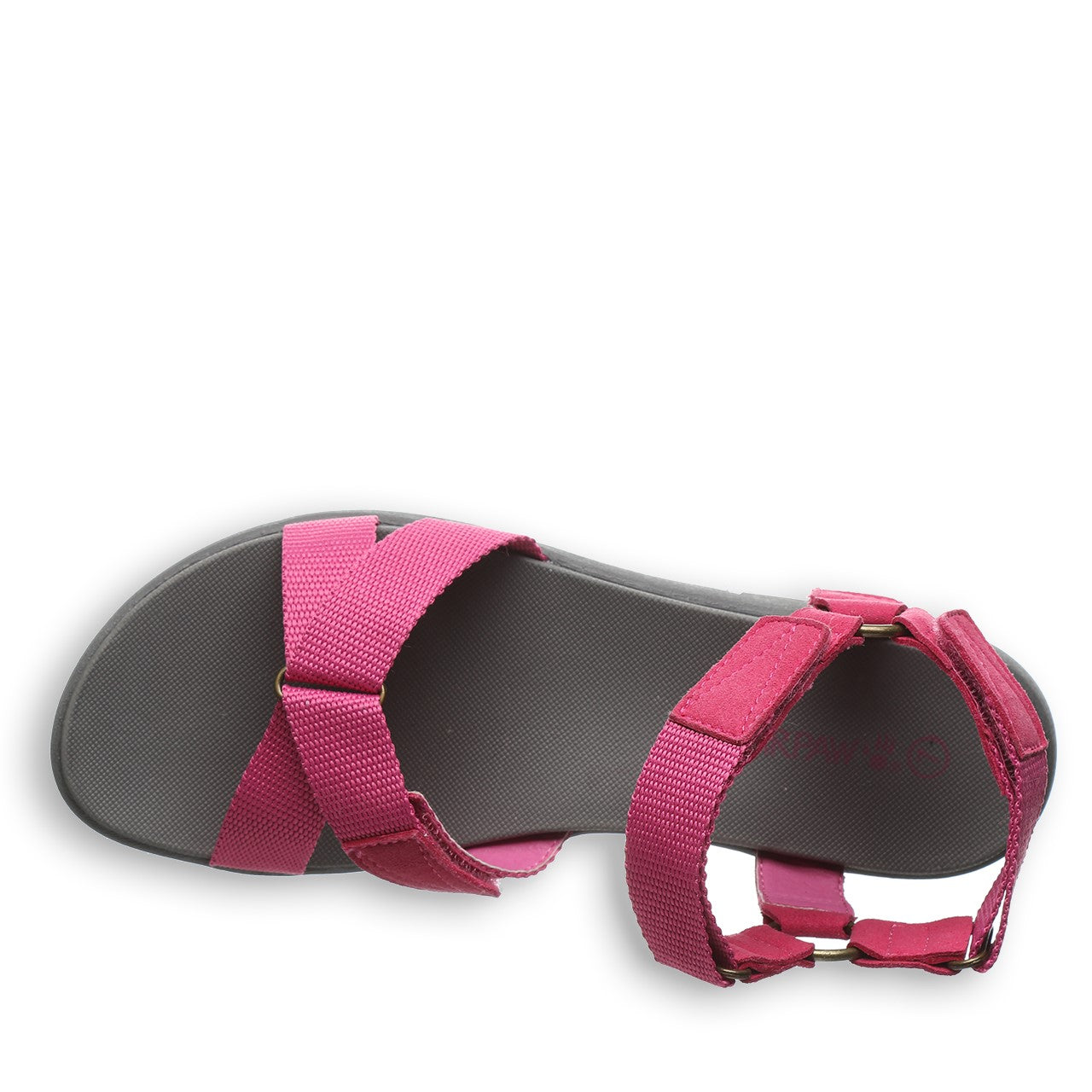 Bearpaw Becca Women's Webbing Tape/micro Sandals - 2904W Bearpaw- 660 - Orchid - View