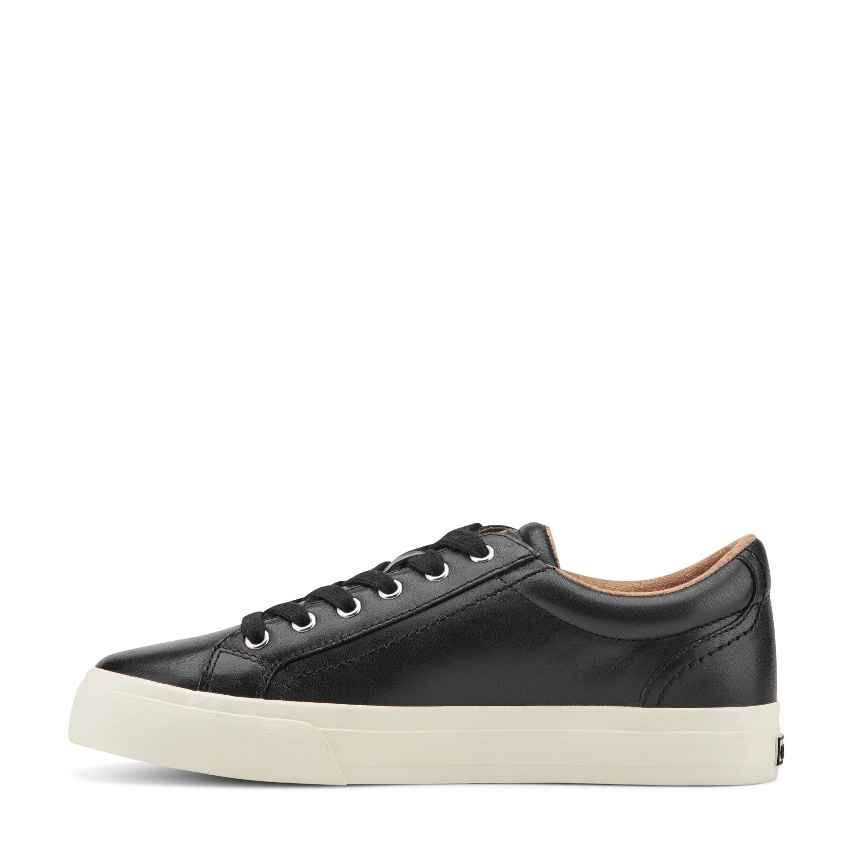 Earth Dailey Leather Lace-Up Casual Cushioned Comfort Sneaker Women's Sneaker - Black Leather - 4