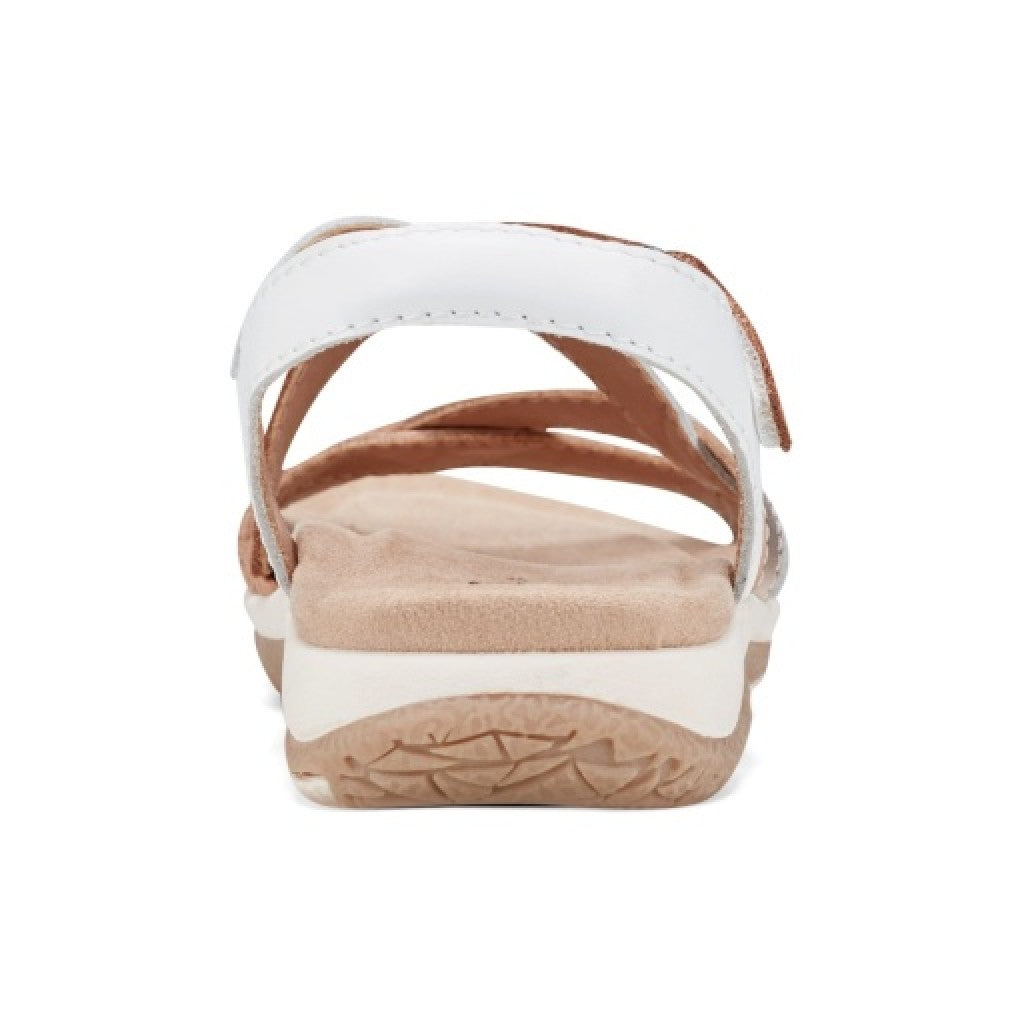 Earth Sterling Arch-Support Cushioned Strappy Women's Flat Sandal - Light Natural - 4