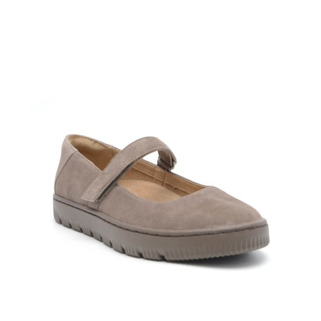 Taupe