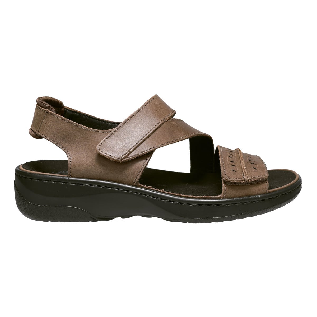 Bison Brown