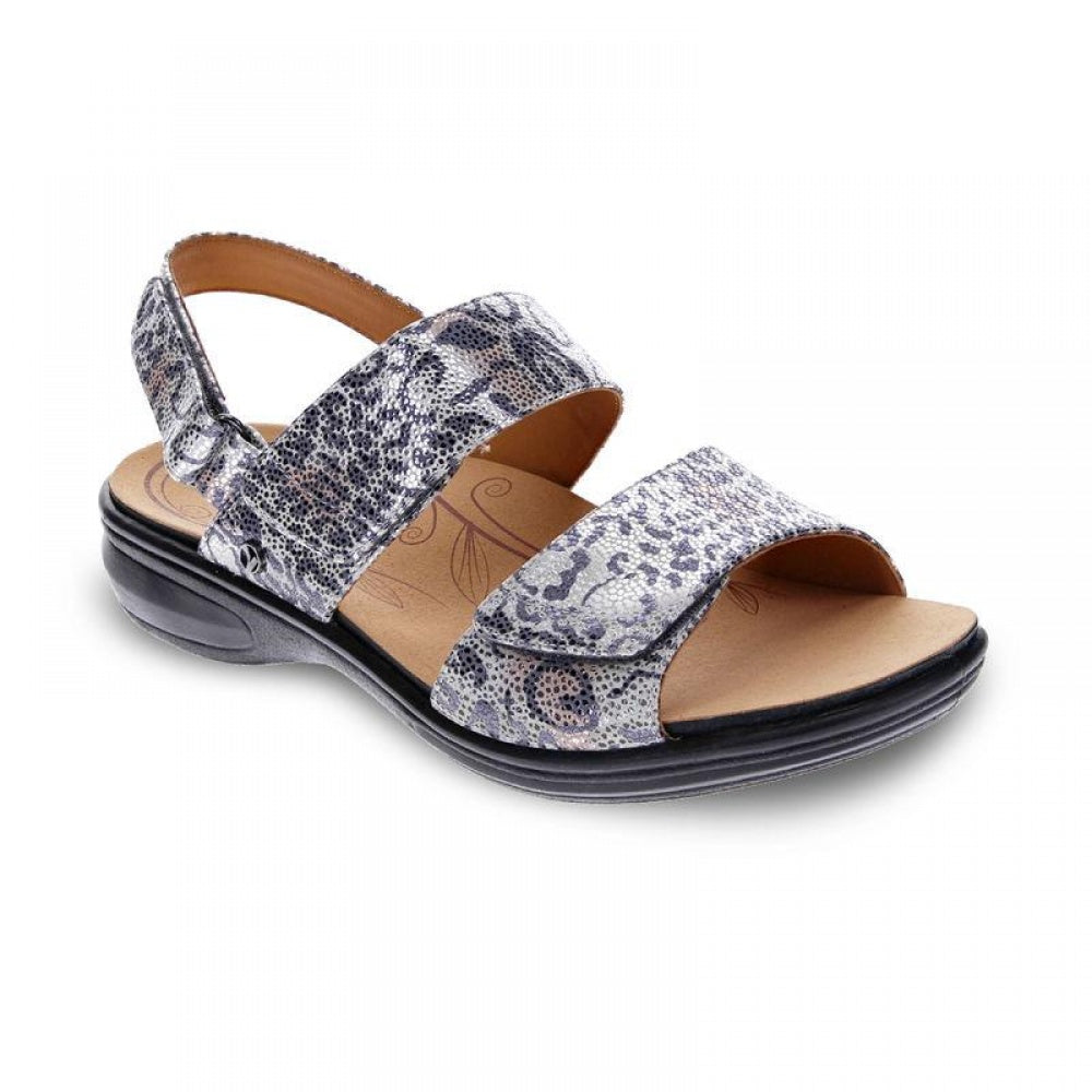 Silver Safari