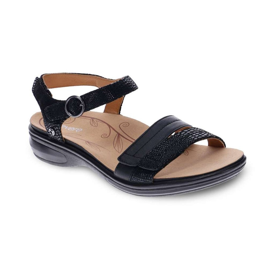 Black French Lizard