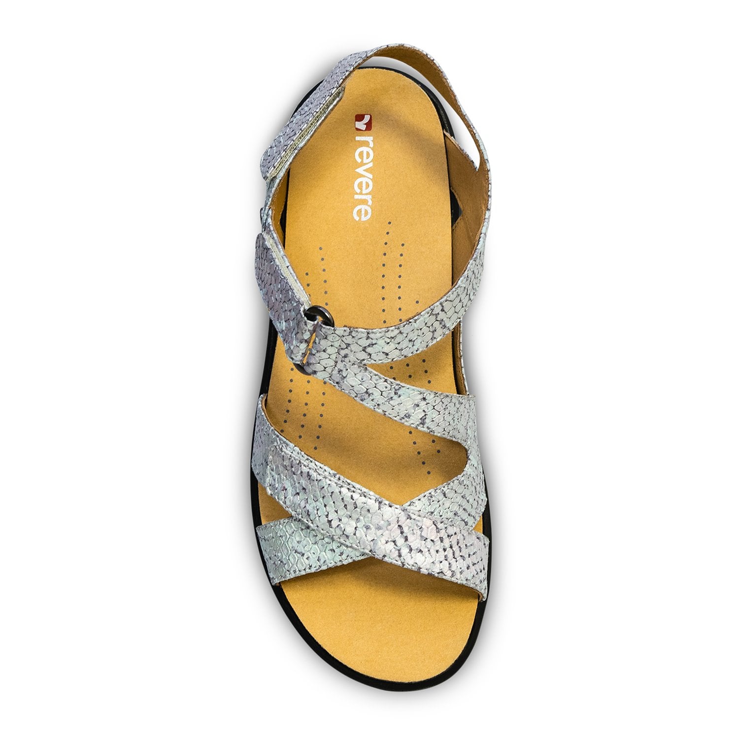 Revere Zanzibar - Women's Backstrap Sandal - Zanzibar Teal Snake Top