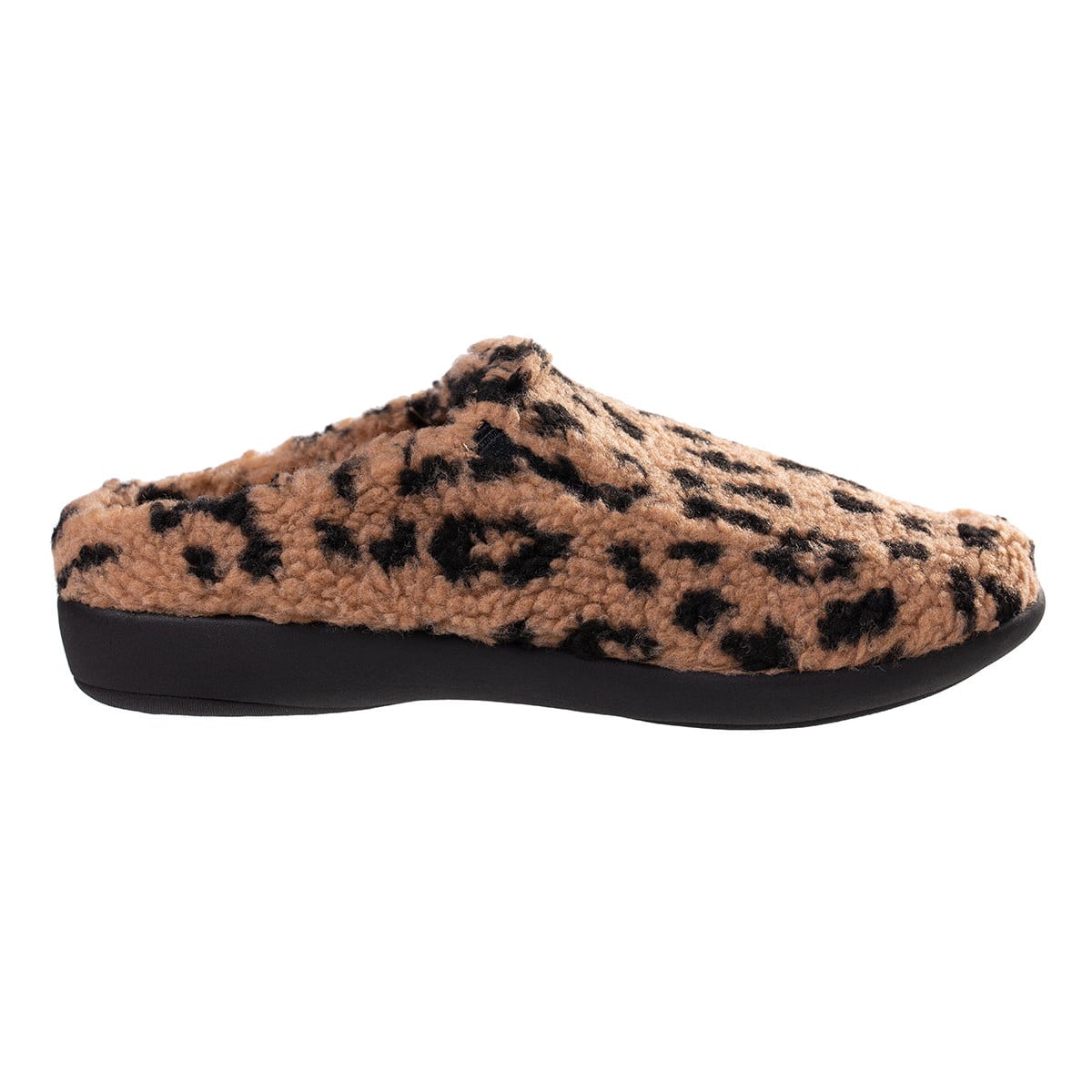 Brown Leopard