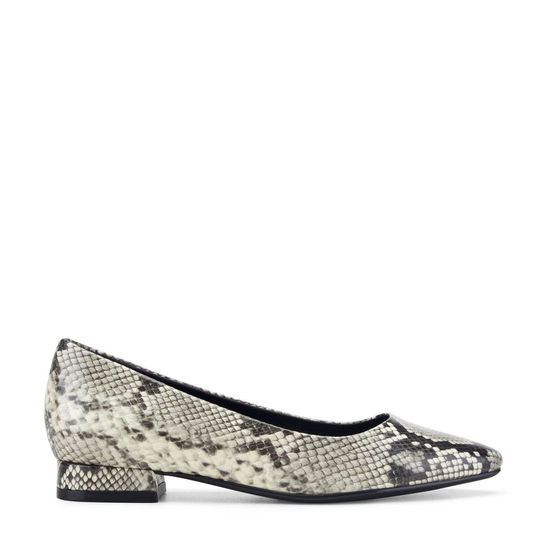Rockport Women's Tessa Total Motion Pointy Toe Dress Flats - Black Snake Print - 1