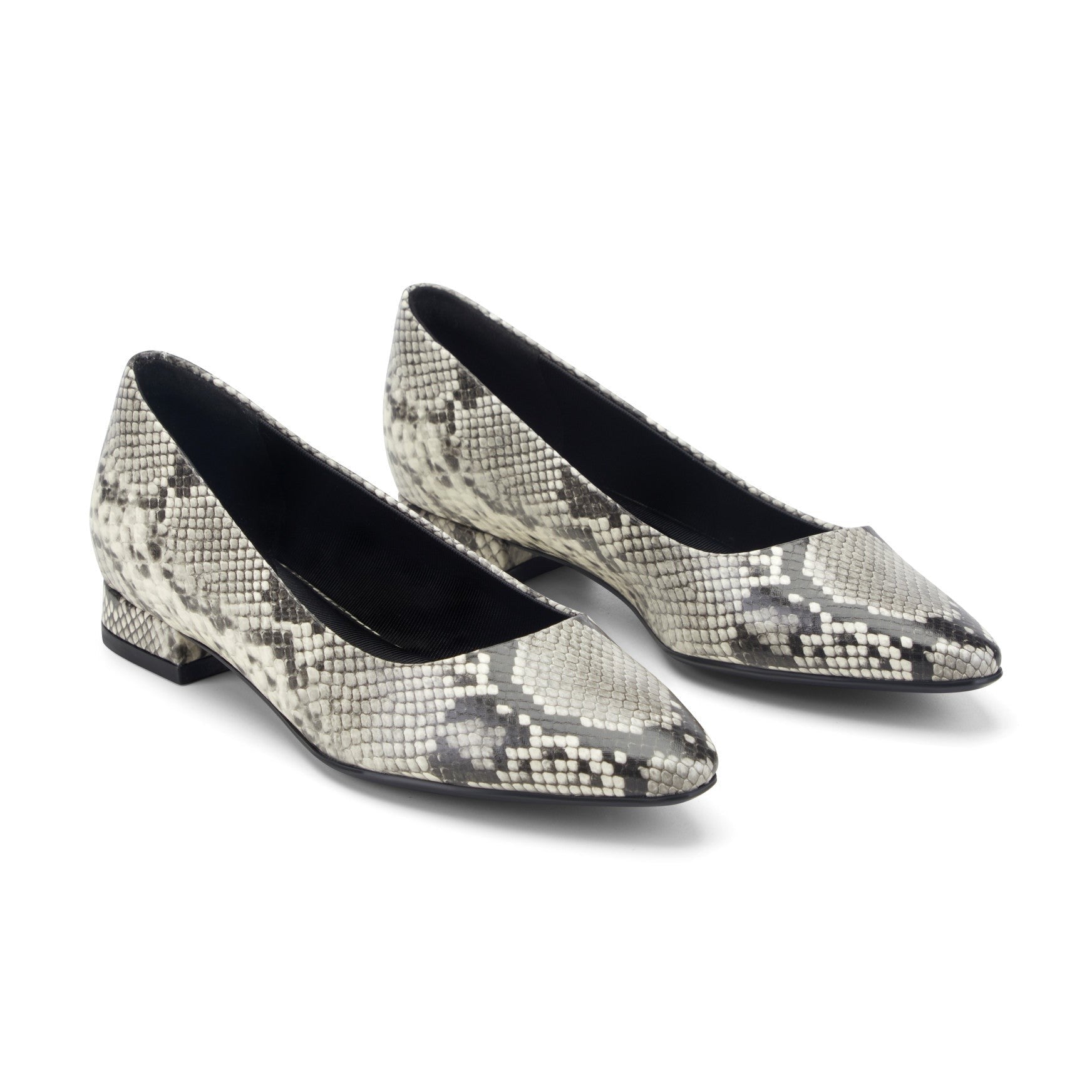 Rockport Women's Tessa Total Motion Pointy Toe Dress Flats