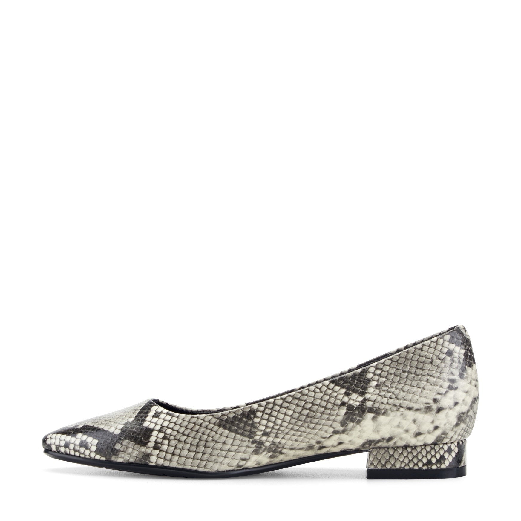 Rockport Women's Tessa Total Motion Pointy Toe Dress Flats - Black Snake Print - 4