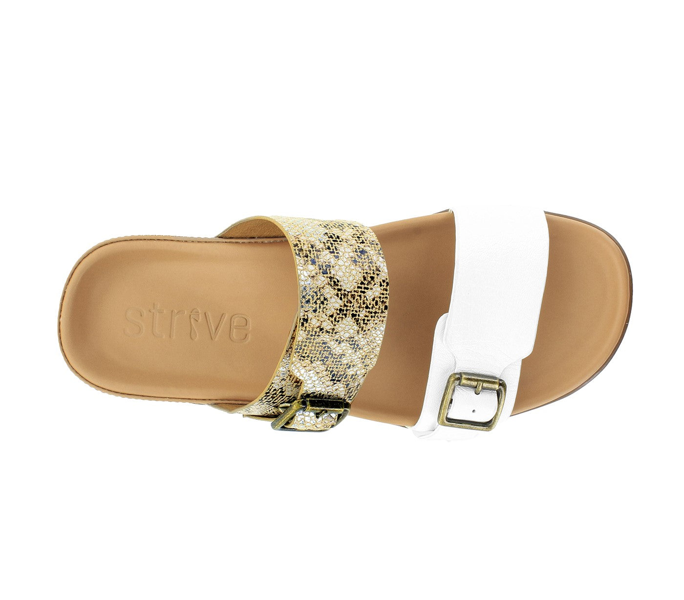 Strive Caprera - Women\'s Casual Arch Supportive Buckle Sandal - Black Snake - Overhead