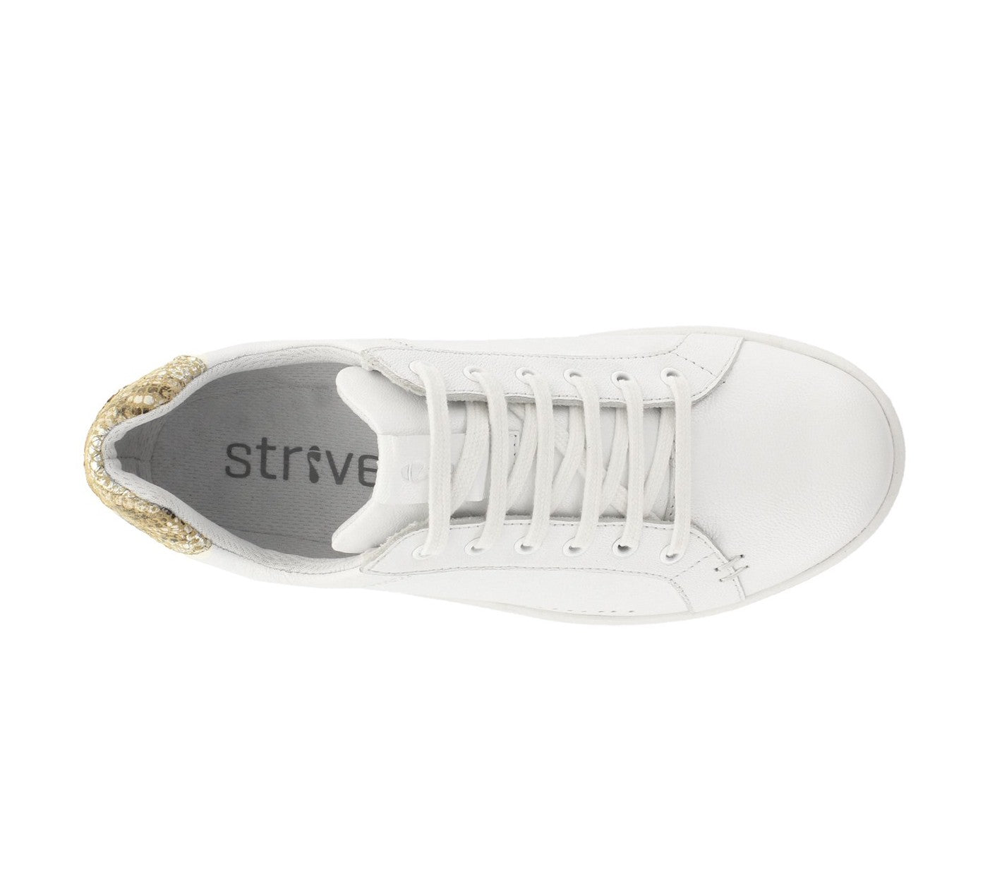 Strive Dakota Women's Lace-up Sneaker - White - Overhead