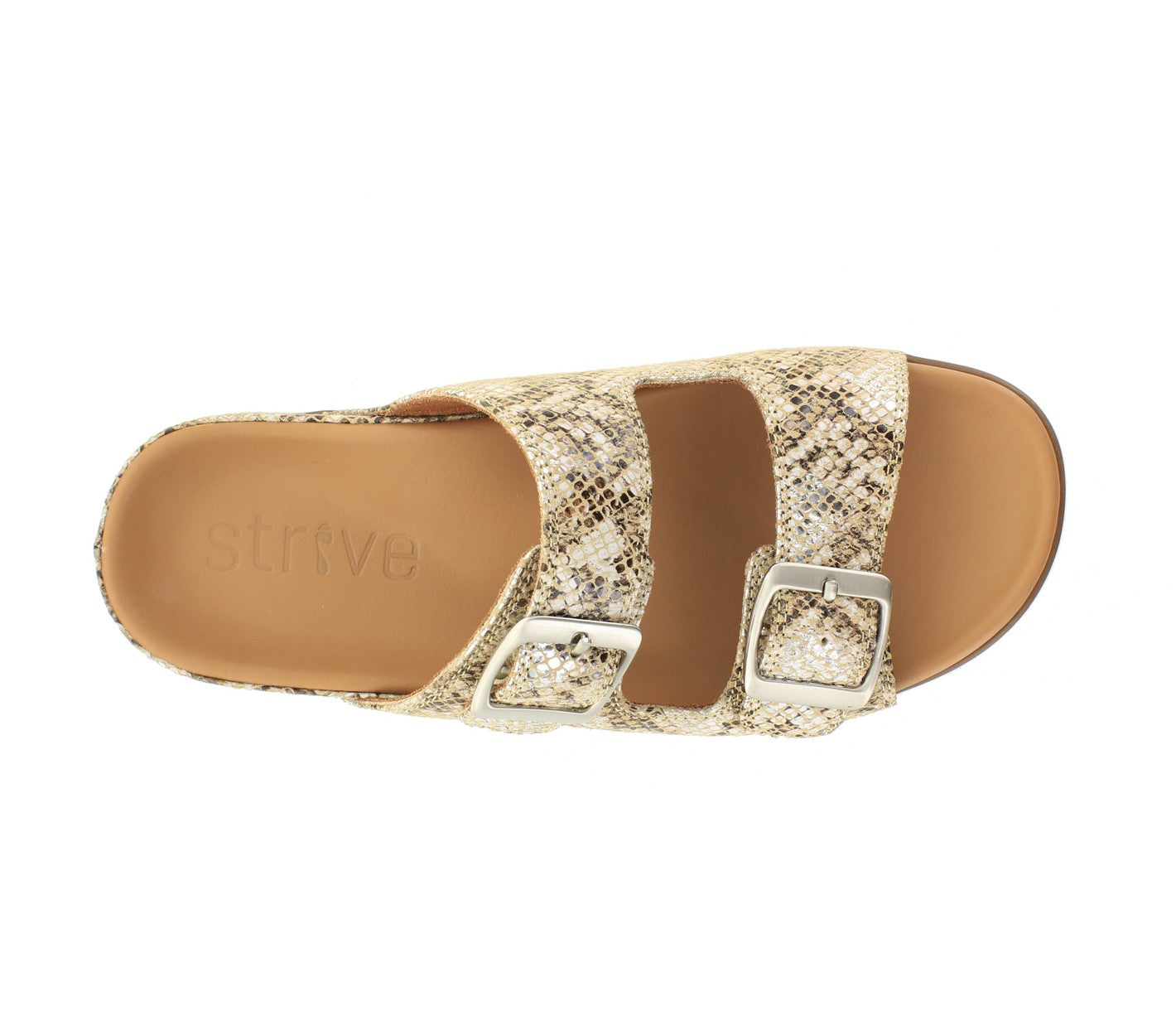 Strive Largo Women\'s Adjustable Strap Slide Sandal - Snake Glamour - Overhead