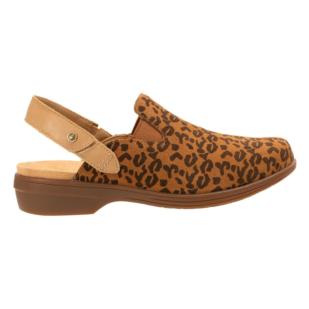 Brown Leopard
