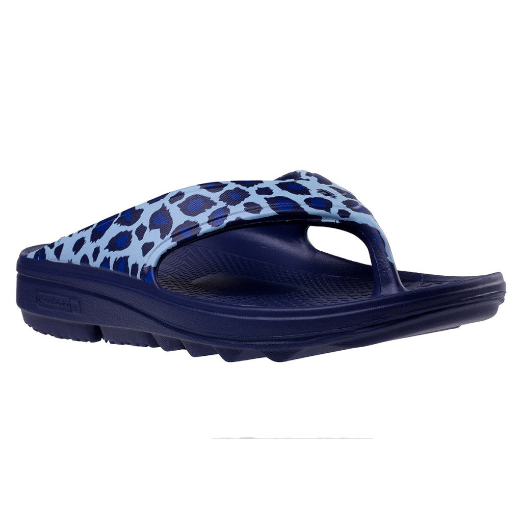 Blue Cheetah