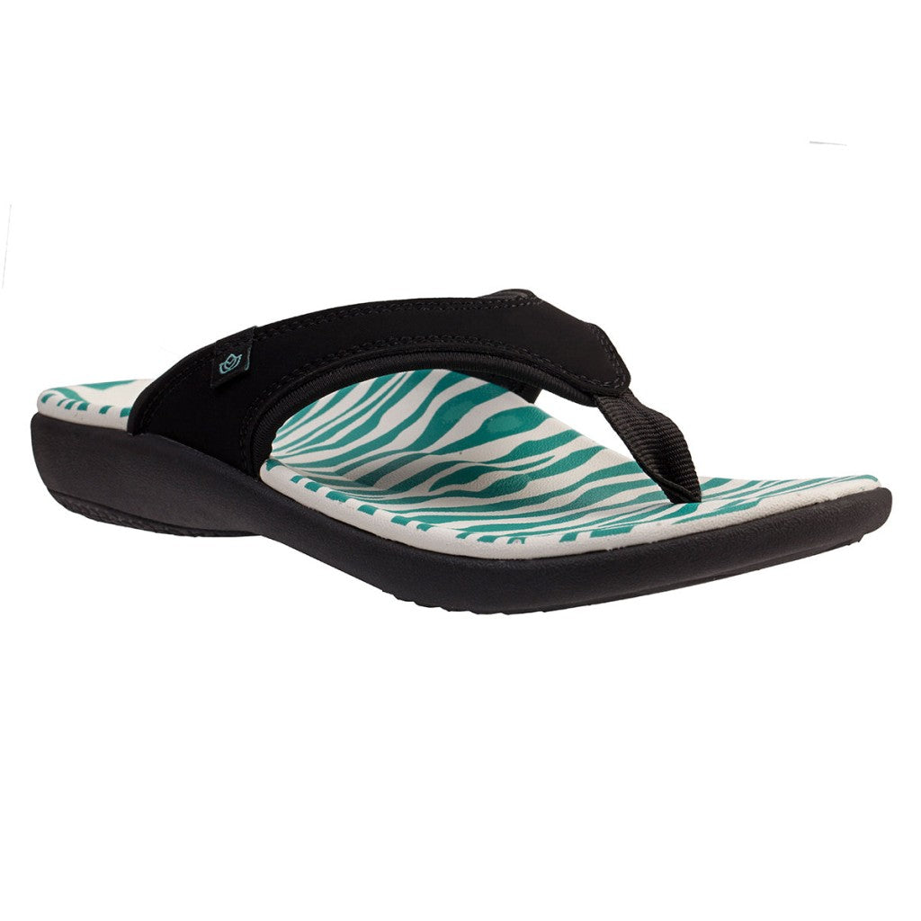 Teal Zebra